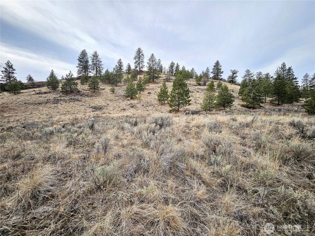 Photo of 1 TBD Badger Road, Tonasket, WA 98855 (MLS # 2489107)