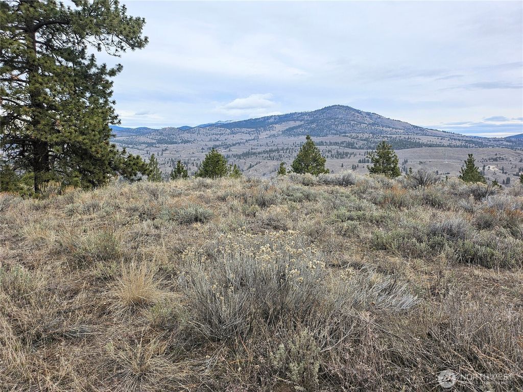 Photo of 1 TBD Badger Road, Tonasket, WA 98855 (MLS # 2489107)