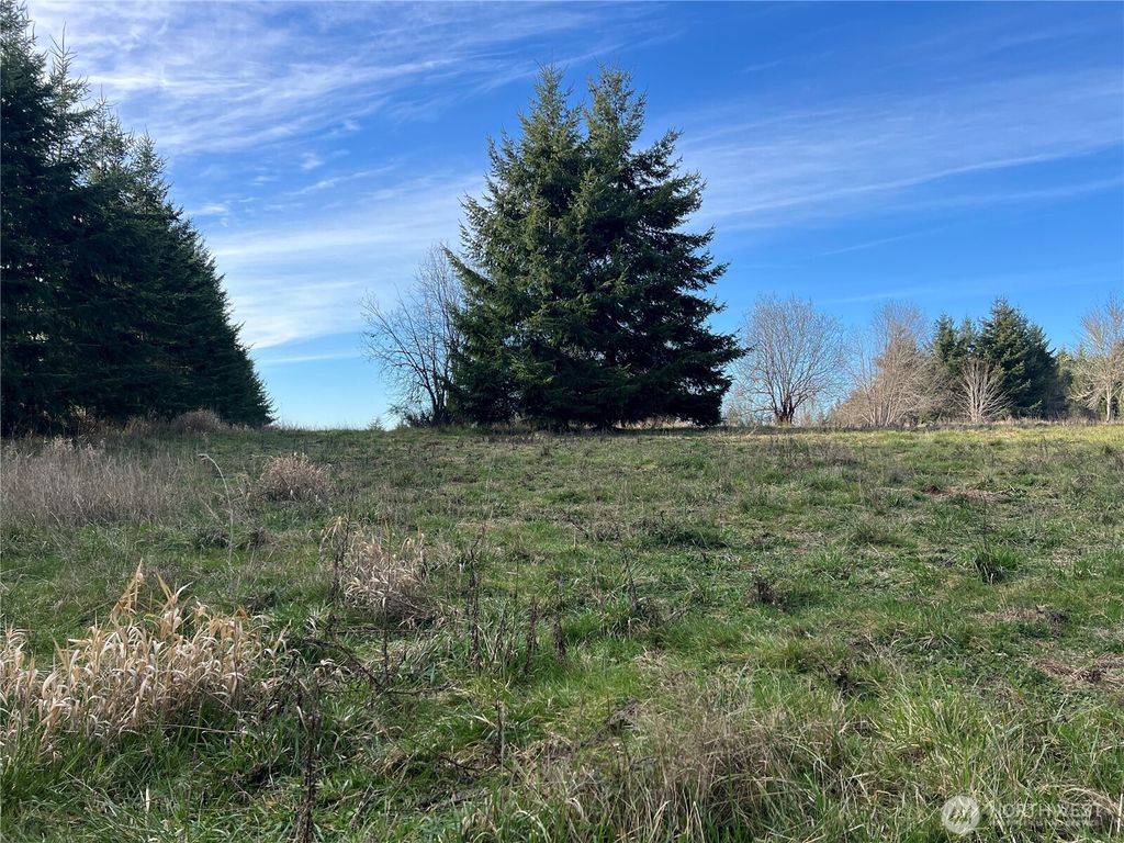 Photo of Chehalis, WA 98532 (MLS # 2485677)