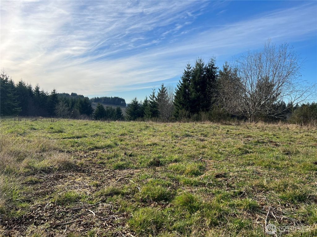 Photo of Chehalis, WA 98532 (MLS # 2485677)