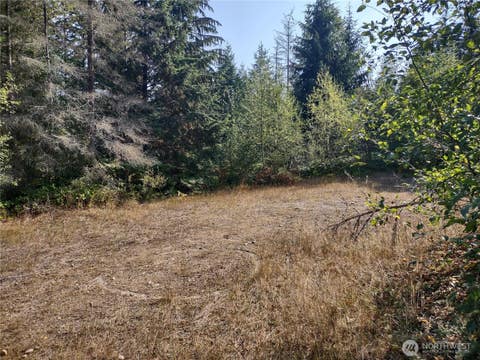 Photo of 0 Blue Valley Road, Port Angeles, WA 98362 (MLS # 2544678)