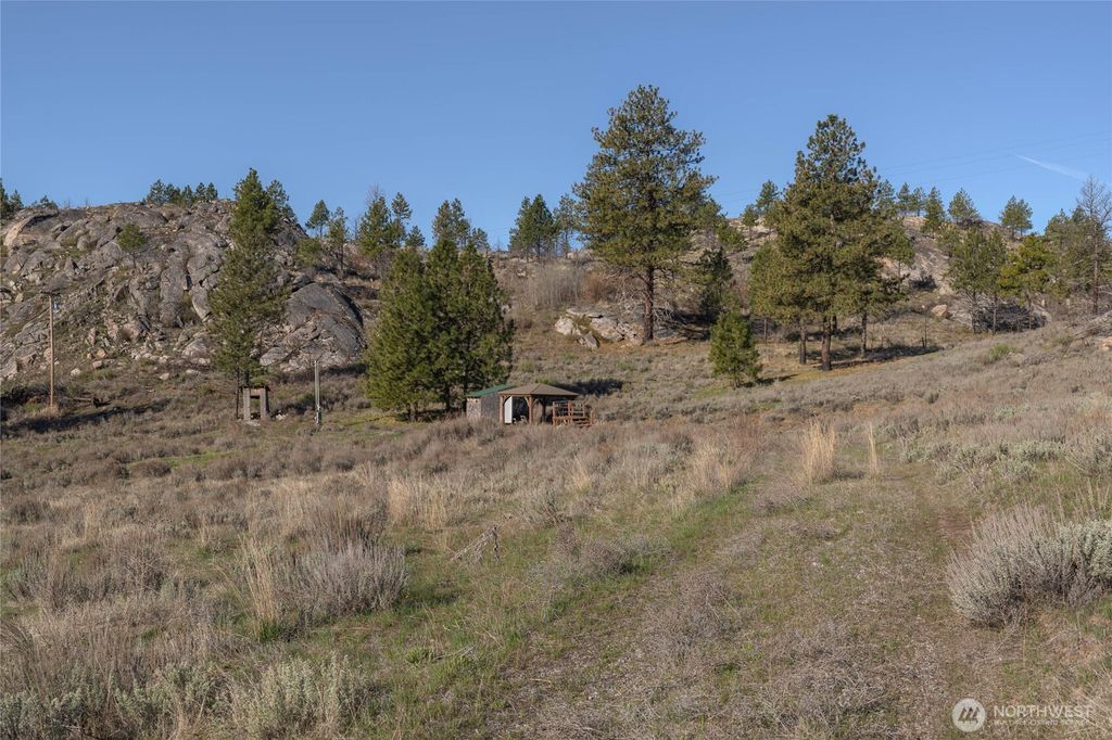 Photo of 223 Cameron Lake Loop #T, Okanogan, WA 98840 (MLS # 2495012)