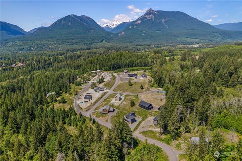 103 Belle Lane Packwood WA 98361