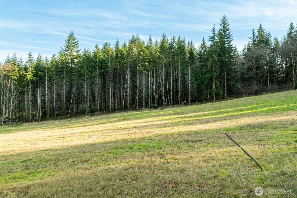 Photo of 0 Silverwood Drive #C2, Castle Rock, WA 98611 (MLS # 2480459)