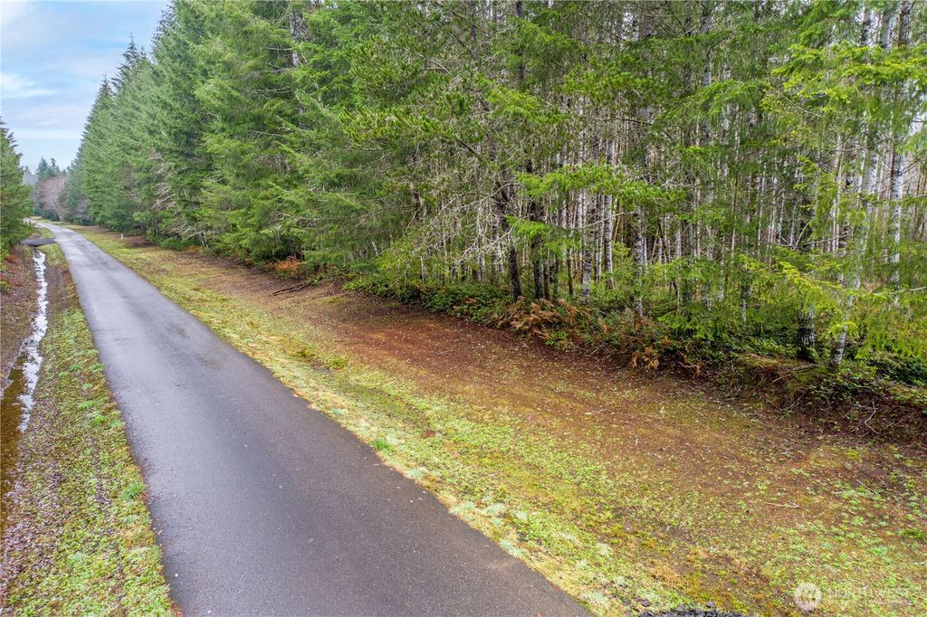 Photo of 0 Greenberg Lane, Belfair, WA 98528 (MLS # 2490115)