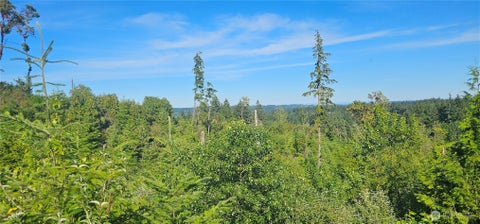 Photo of 5012 NW Viewpoint Lane, Bremerton, WA 98312 (MLS # 2541386)