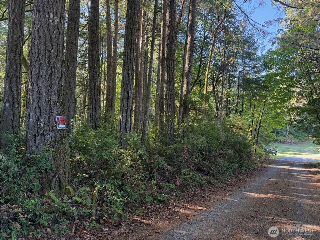 Photo of 17430 27th Street SW, Lakebay, WA 98349 (MLS # 2442797)