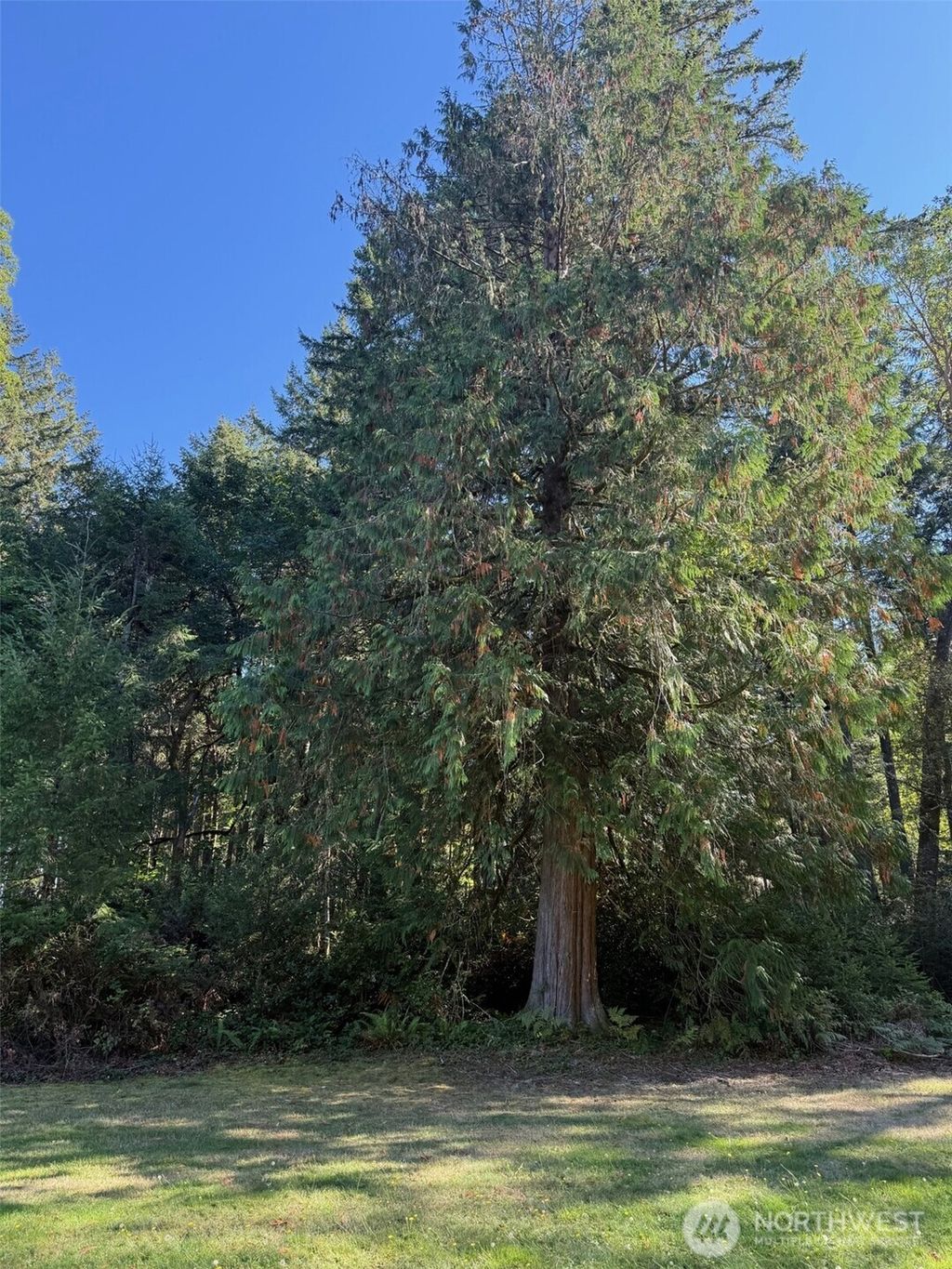 Photo of 17430 27th Street SW, Lakebay, WA 98349 (MLS # 2442797)