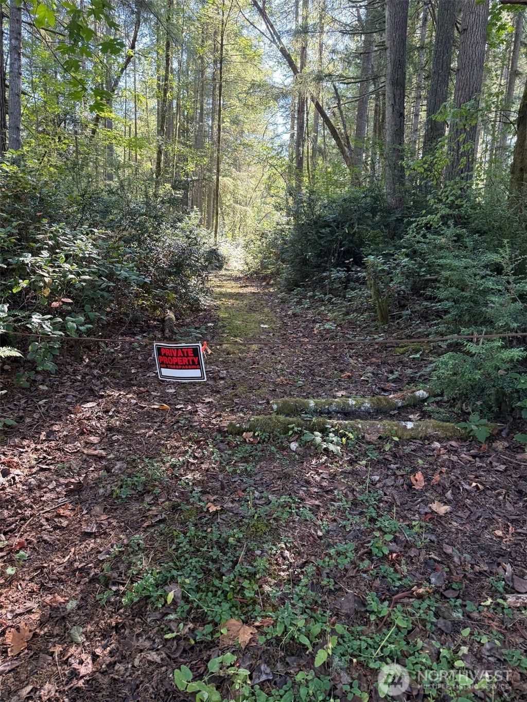 Photo of 17430 27th Street SW, Lakebay, WA 98349 (MLS # 2442797)