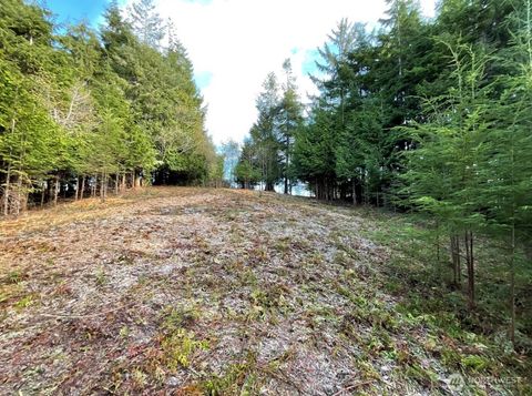 Photo of 29 Spruce Court, South Bend, WA 98586 (MLS # 2419180)