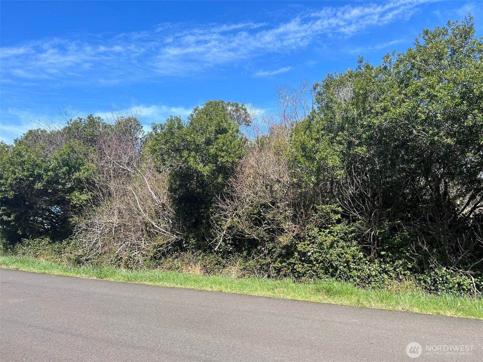 314 S Seashore Street SW