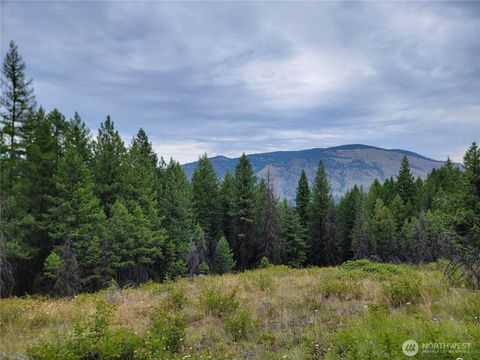 Photo of 0 Dragon's Lair Lane, Curlew, WA 99118 (MLS # 2556729)