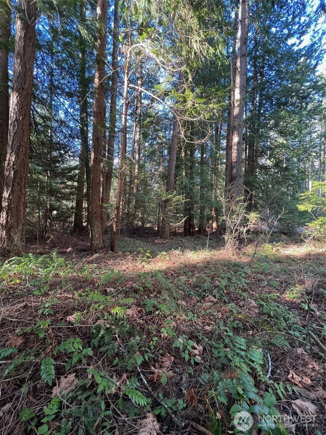 0 Mill Road