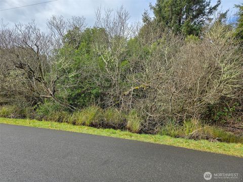 318 N Wynoochee Drive SW Ocean Shores WA 98569