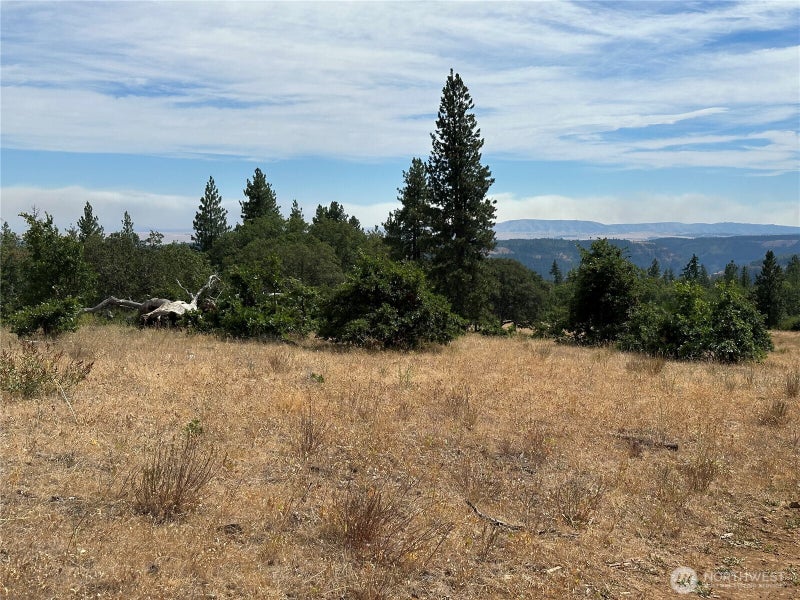 27 Greyback Mtn Road