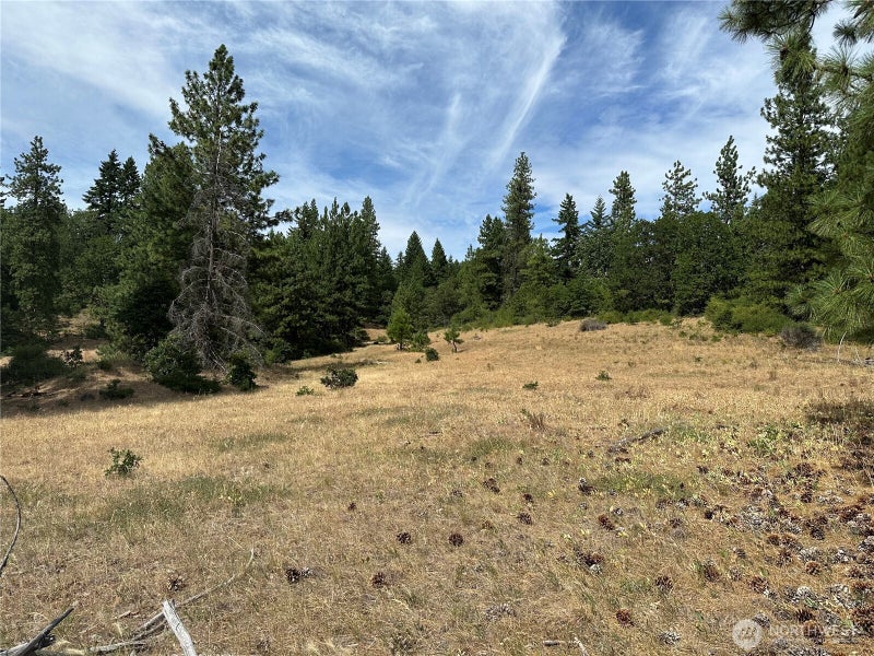 27 Greyback Mtn Road