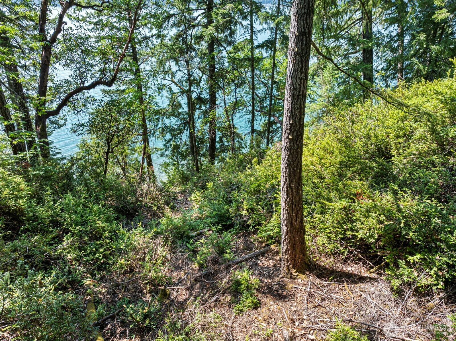 2311 NE Capstan Rock Road