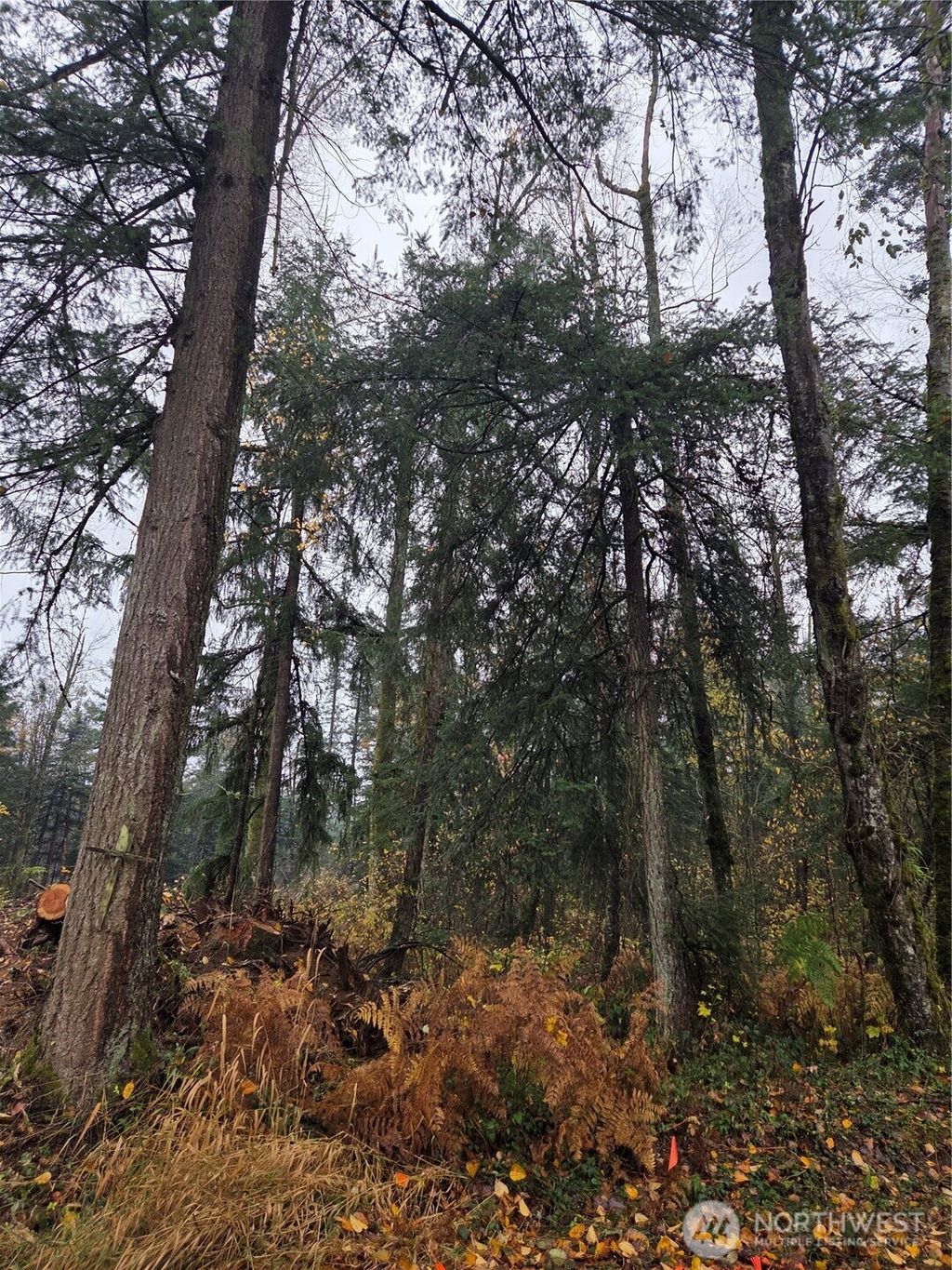 Photo of 0 XXX H Street, Blaine, WA 98230 (MLS # 2503156)