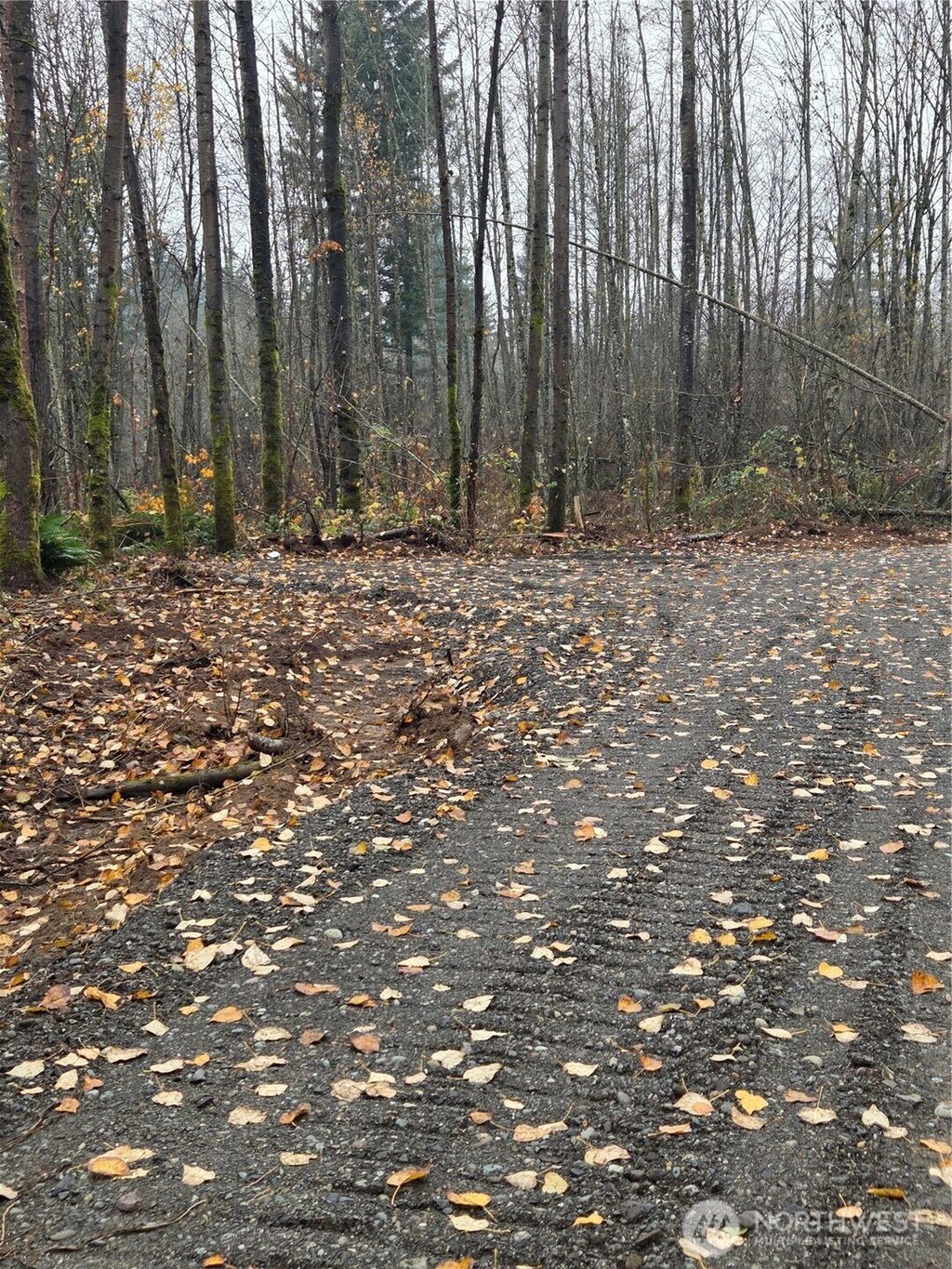 Photo of 0 XXX H Street, Blaine, WA 98230 (MLS # 2503156)