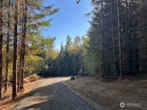 0 Misty Hill Drive 1 & 2 Toutle WA 98649