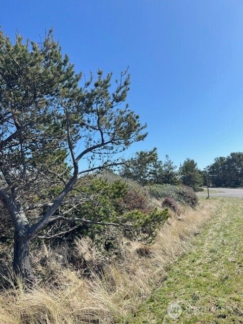 453 N Bel Air Loop Ocean Shores WA 98569