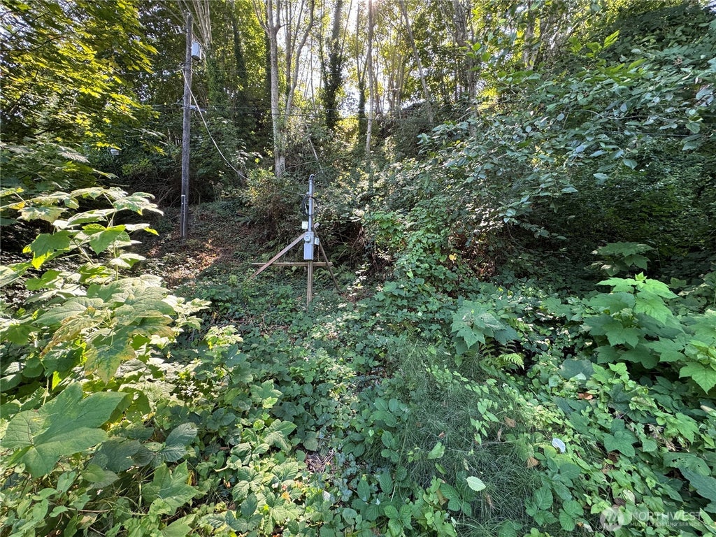 Photo of 11002 Vashon Highway SW, Vashon, WA 98070 (MLS # 2576217)