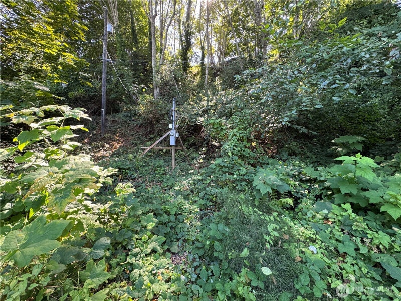 11002 Vashon Highway SW