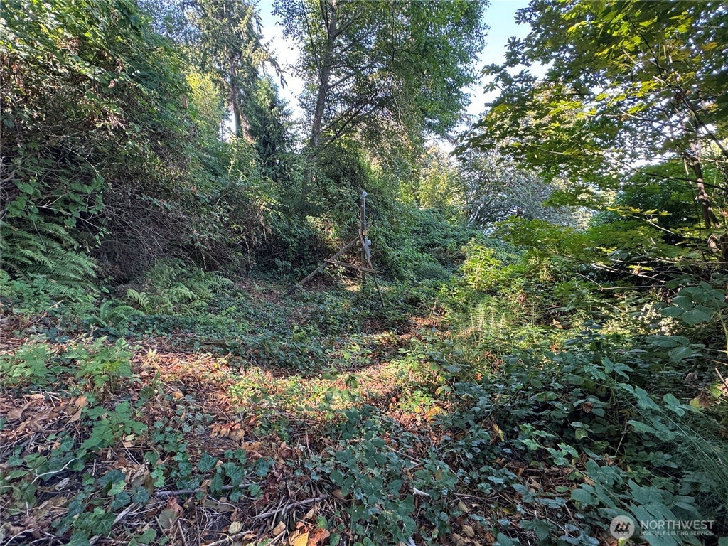 Photo of 11002 Vashon Highway SW, Vashon, WA 98070 (MLS # 2576217)