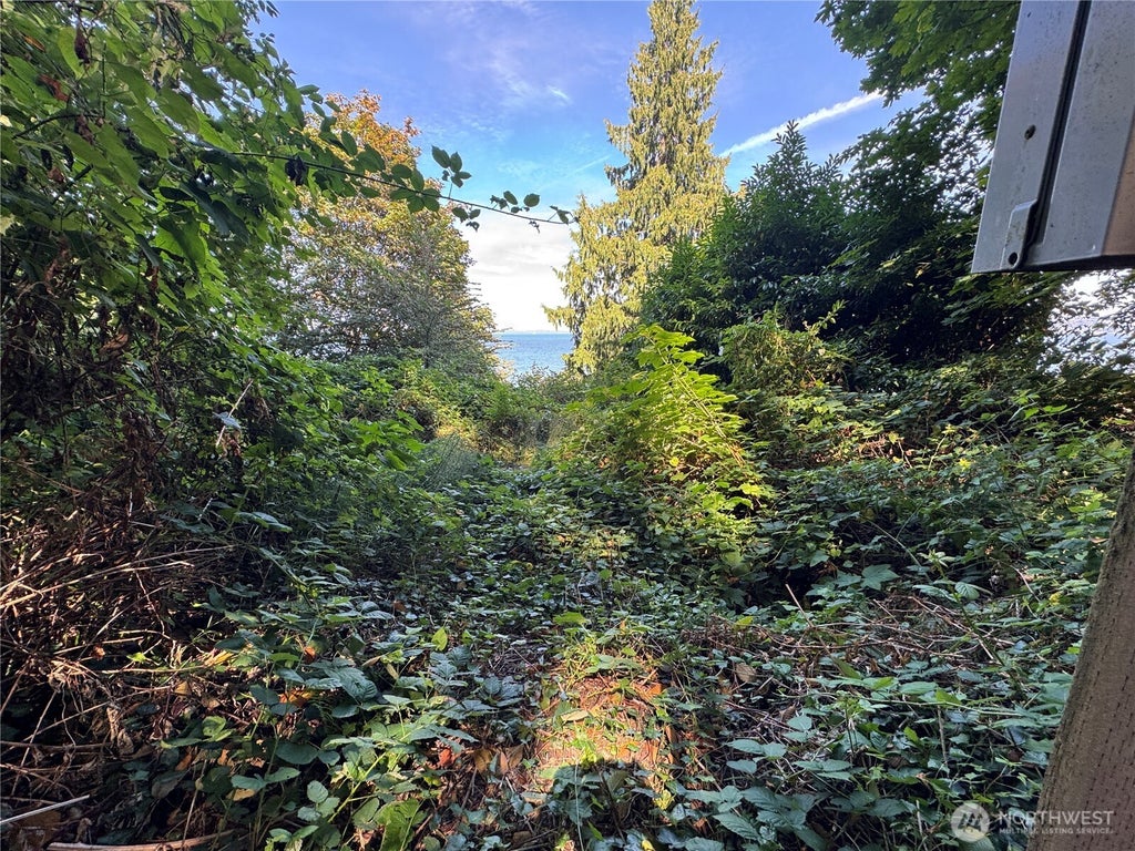 Photo of 11002 Vashon Highway SW, Vashon, WA 98070 (MLS # 2576217)