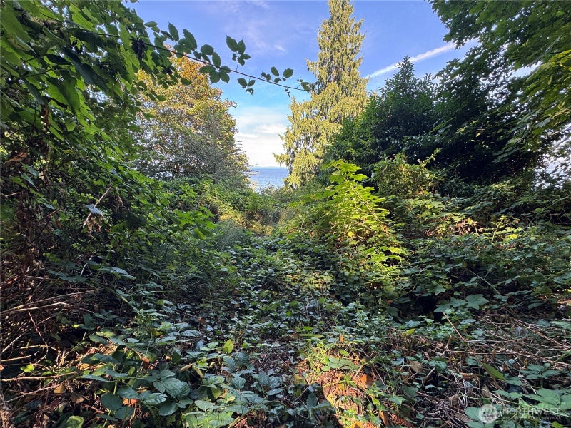 11002 Vashon Highway SW