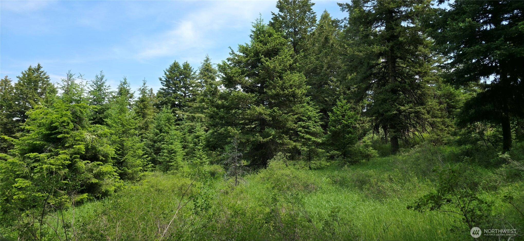 111 TBD Fletcher Rd