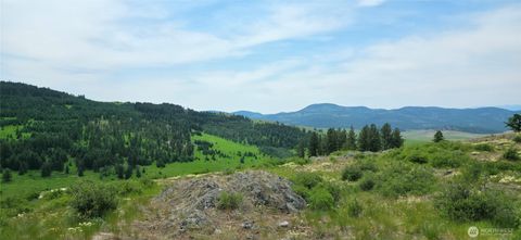 111 TBD Fletcher Rd Oroville WA 98844