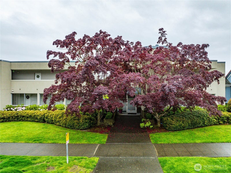 4457 44th Avenue SW 101