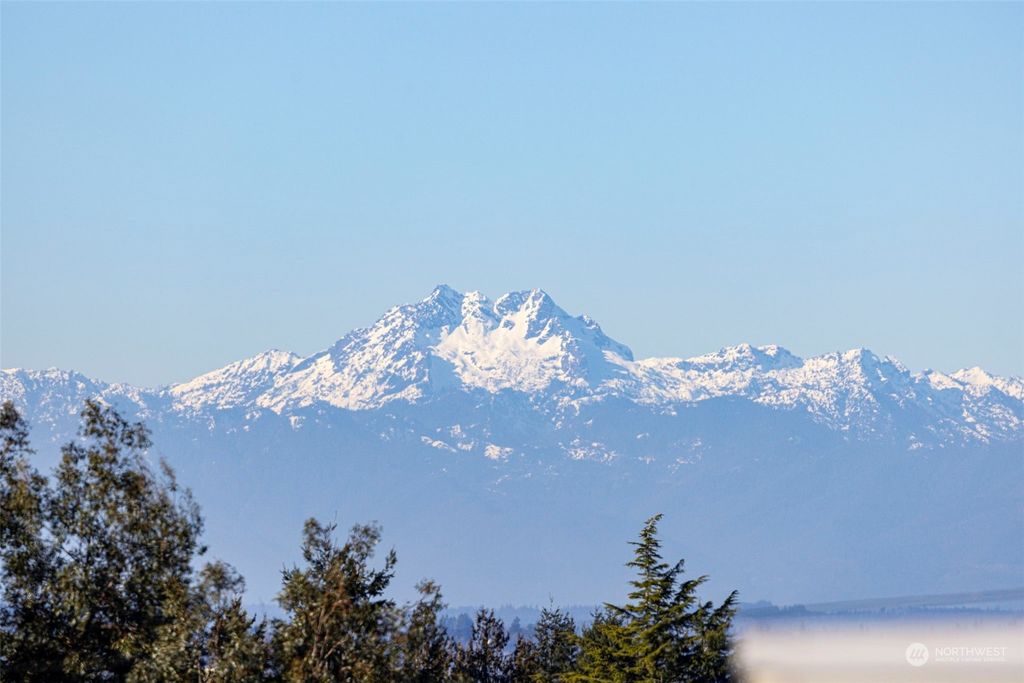 listing image 9362038767791839893