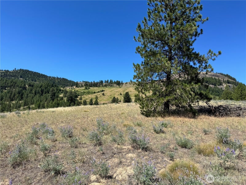 2 Lundimo Meadows Road