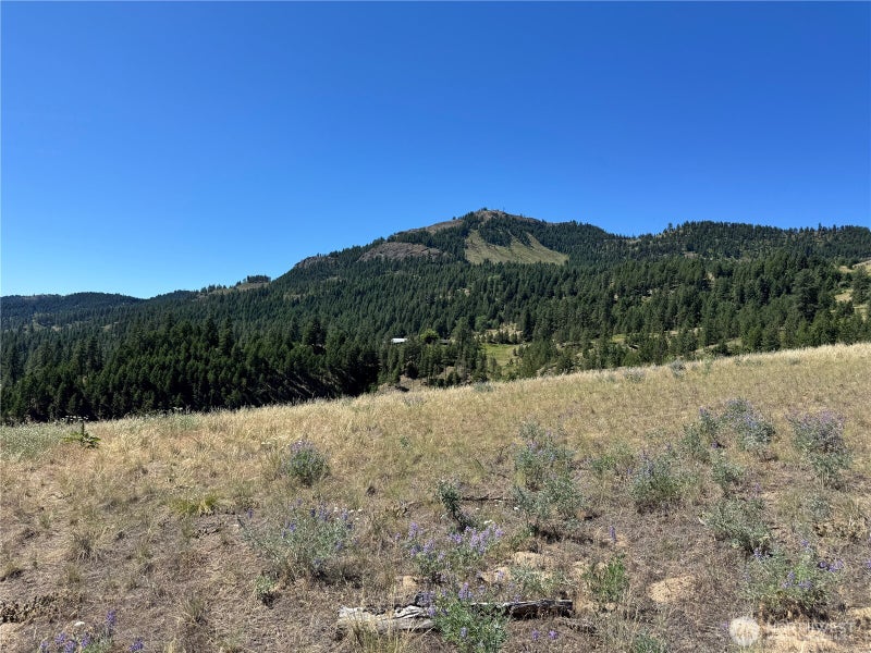 2 Lundimo Meadows Road