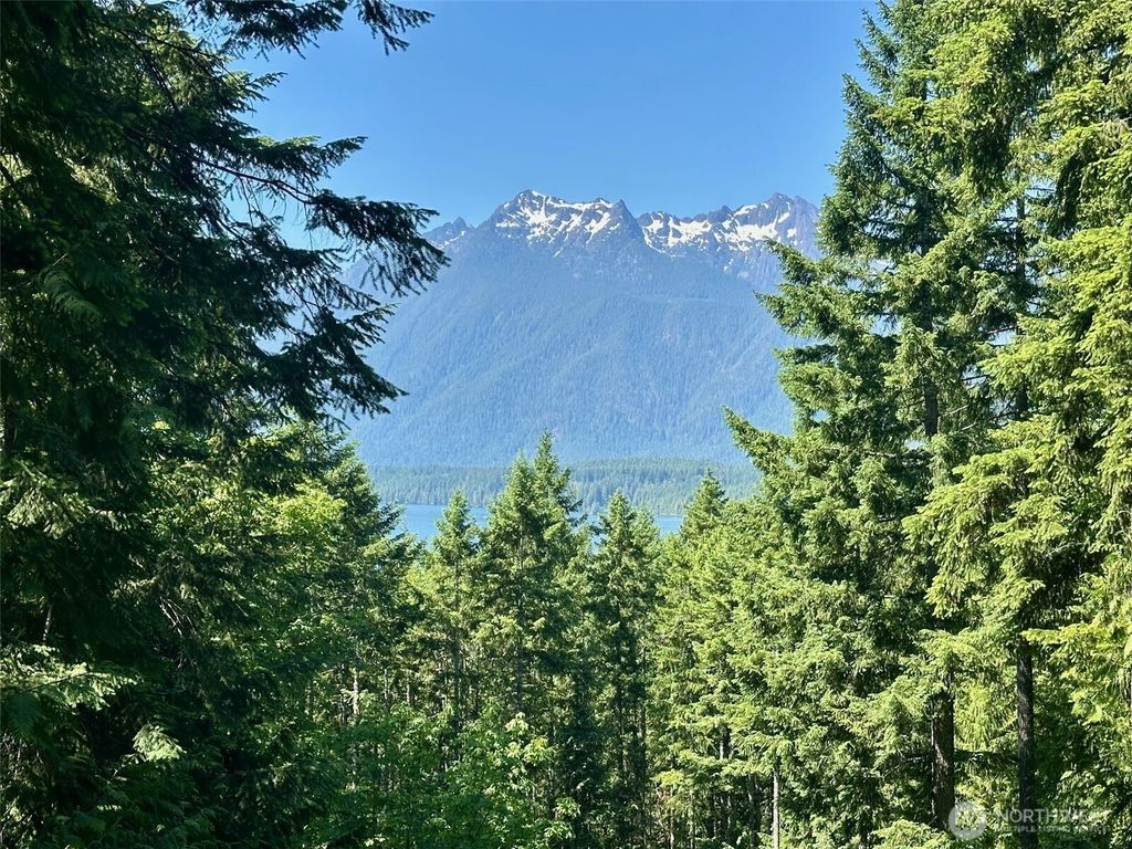 Photo of 5154 N Lake Cushman Road, Hoodsport, WA 98548 (MLS # 2513063)