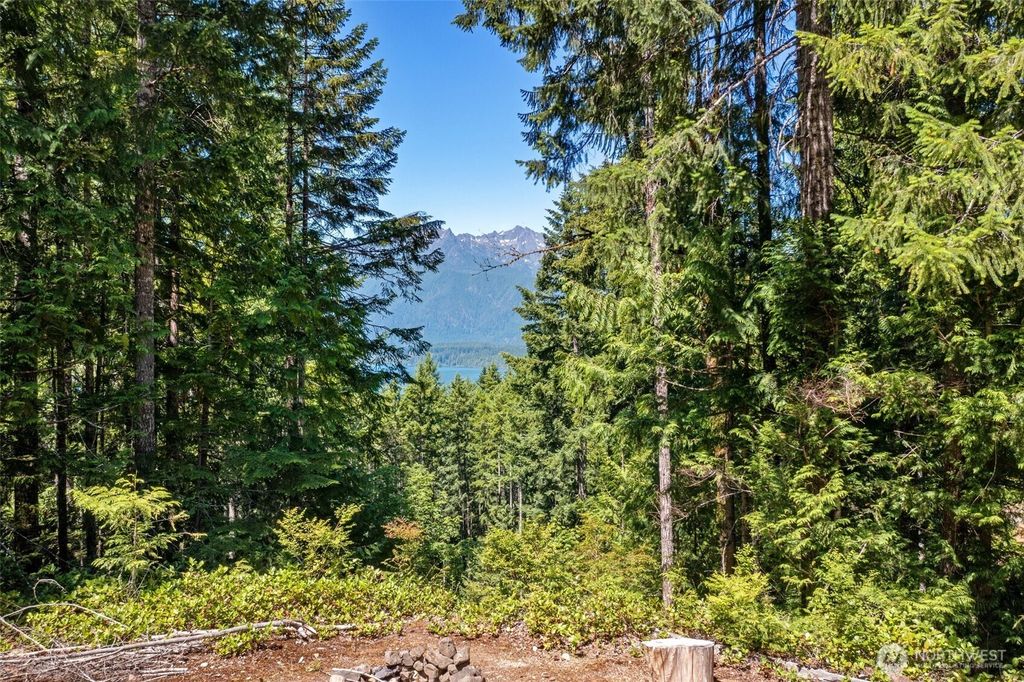 Photo of 5154 N Lake Cushman Road, Hoodsport, WA 98548 (MLS # 2513063)