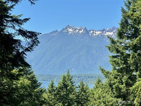 Photo of 5154 N Lake Cushman Road, Hoodsport, WA 98548 (MLS # 2513063)