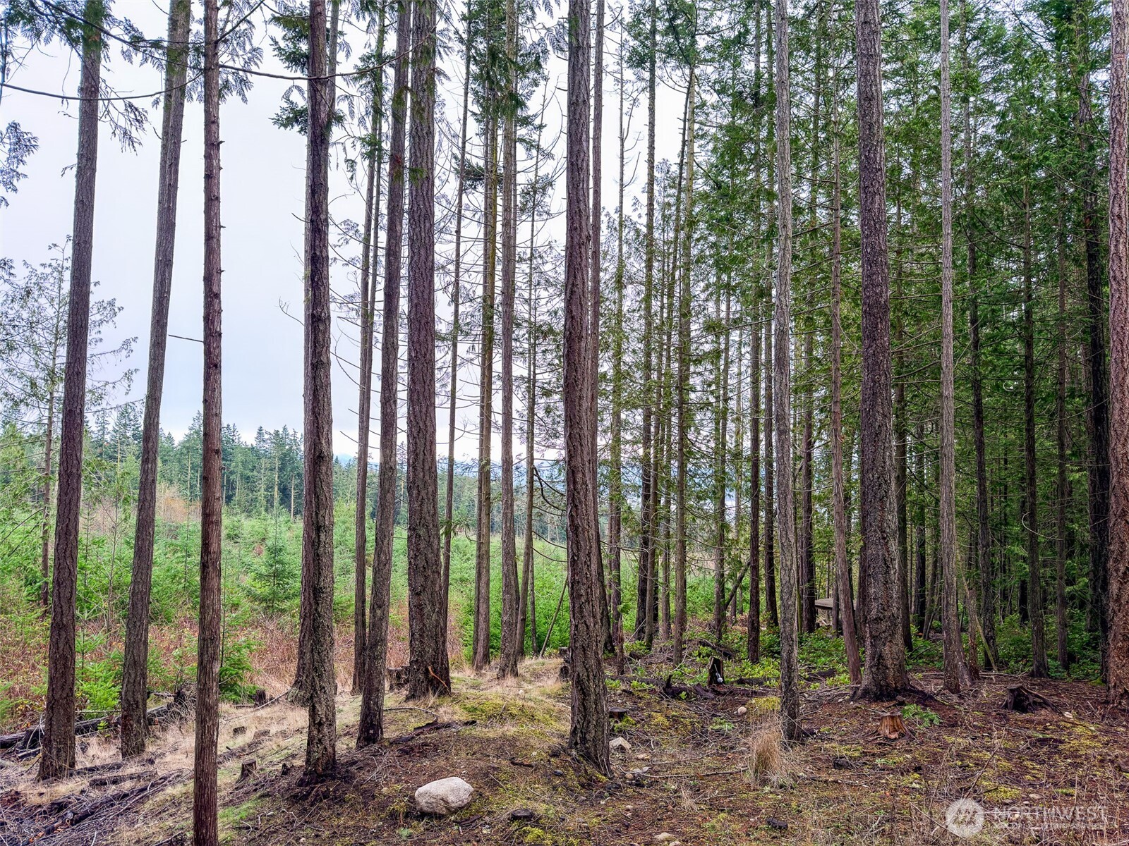 9999 Protection Ridge Road