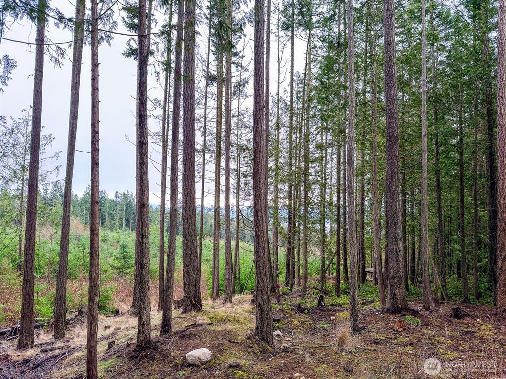 Photo of 9999 Protection Ridge Road, Port Townsend, WA 98368 (MLS # 2461687)