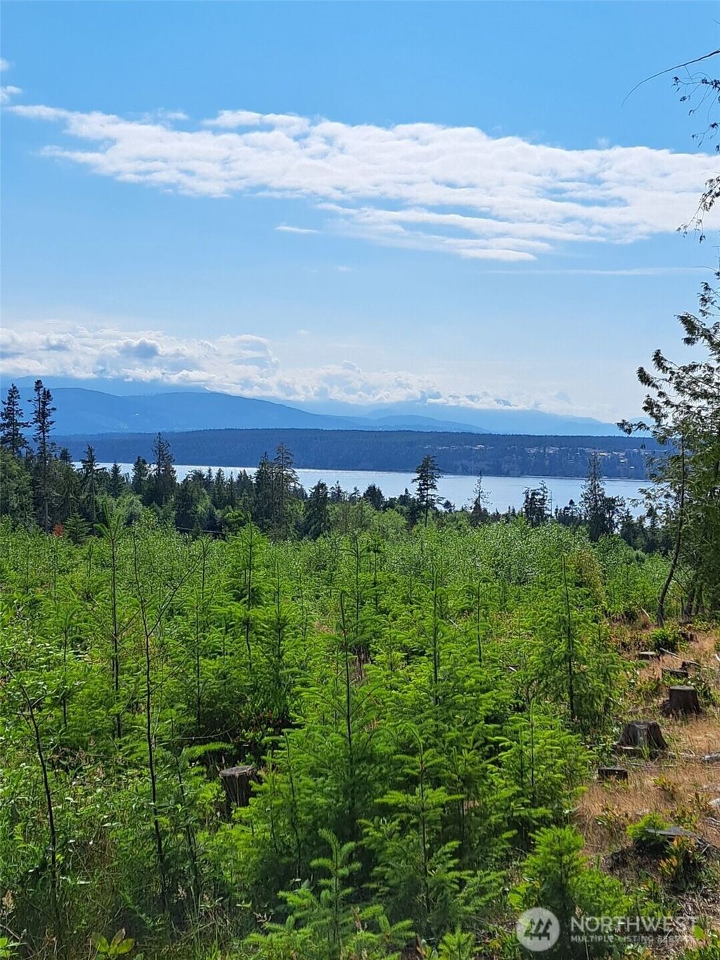 Photo of 9999 Protection Ridge Road, Port Townsend, WA 98368 (MLS # 2461687)