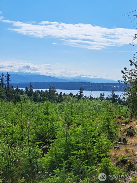 Photo of 9999 Protection Ridge Road, Port Townsend, WA 98368 (MLS # 2461687)