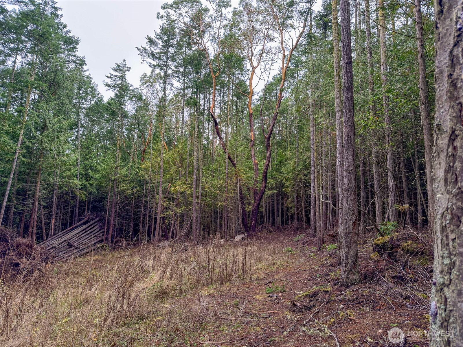 9999 Protection Ridge Road