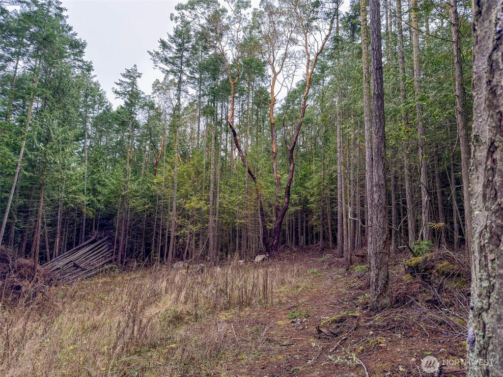 Photo of 9999 Protection Ridge Road, Port Townsend, WA 98368 (MLS # 2461687)