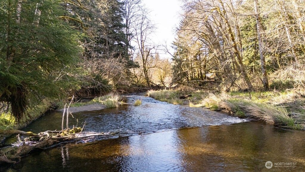 Photo of 999 Night Hawk Lane, Clallam Bay, WA 98326 (MLS # 2510238)