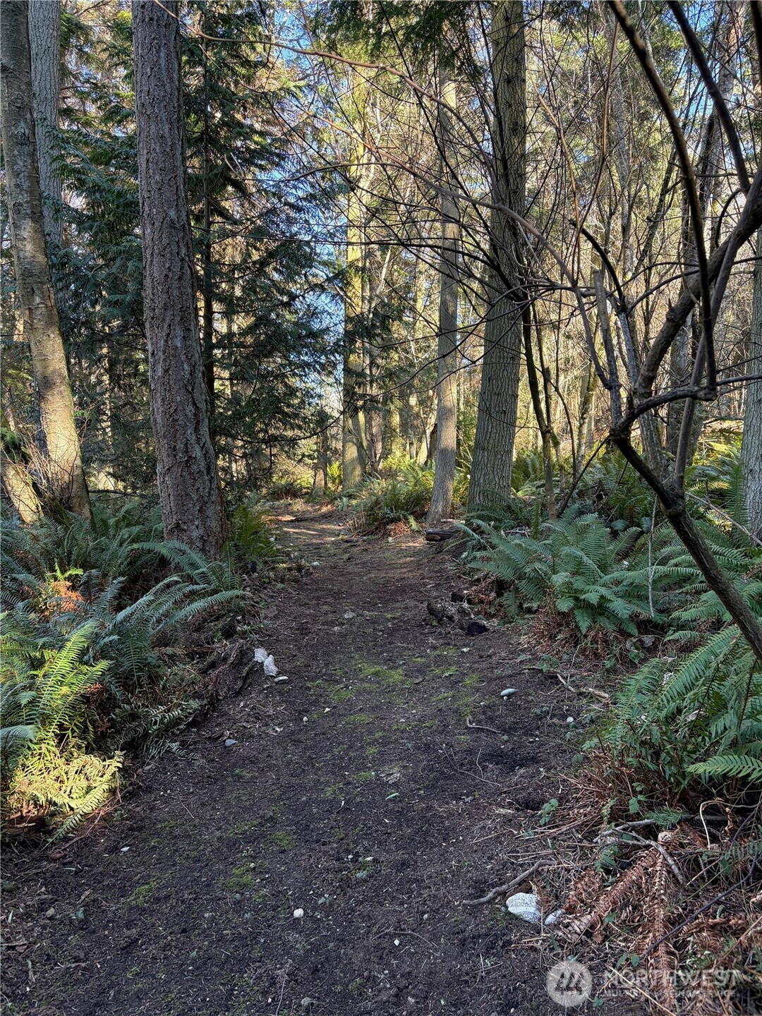 Anacortes, Washington, 98221, United States, 3 Bedrooms Bedrooms, ,2 BathroomsBathrooms,Residential,Active,2022122