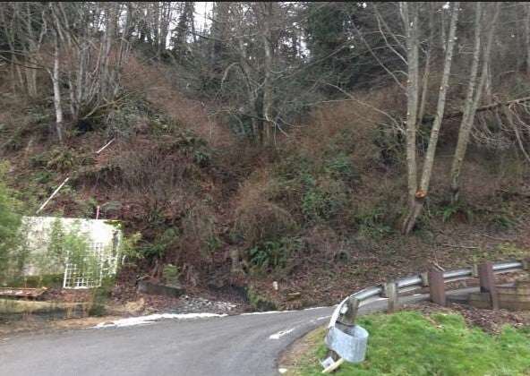 Photo of 0 XY Dallman Road, Camano Island, WA 98282 (MLS # 2598892)