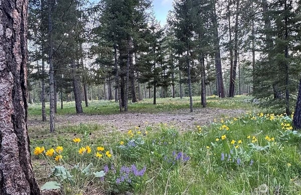 331 WANAWISH LOOP, CLE ELUM, WA 98922 - Image 7c6f3232cbbdab07db09dfbd9981c7bf/2745113337
