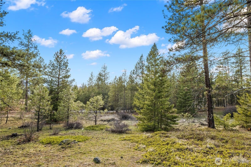 672 Forest Ridge Dr.